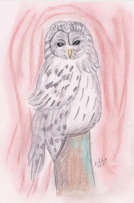 Enchanted Owl by Sally Gilroy